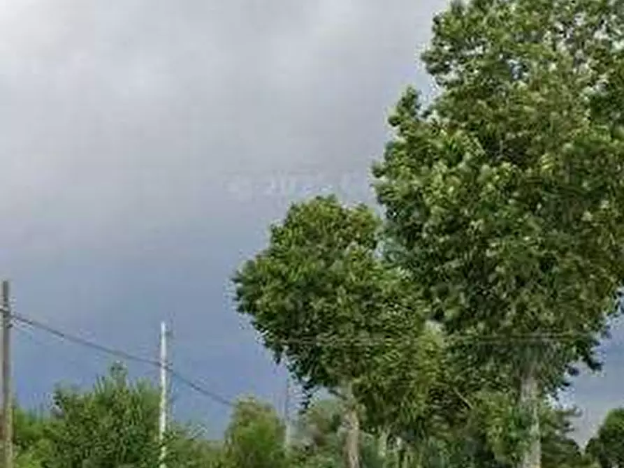 Immagine 6 di Casa indipendente in vendita  in Via Lidi Ferraresi a Ostellato