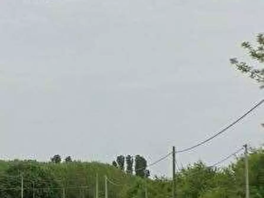 Immagine 3 di Appartamento in vendita  in Loc. Boscofondi a Pettorazza Grimani