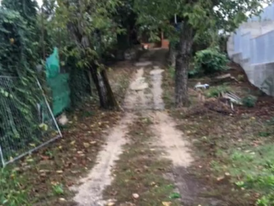 Immagine 6 di Villa in vendita  in Viale della Stazione a Zagarolo