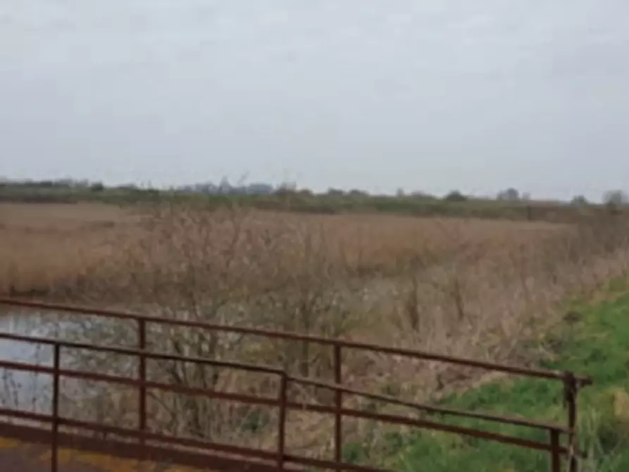 Immagine 1 di Terreno agricolo in vendita  in Via Altedo a San Pietro In Casale