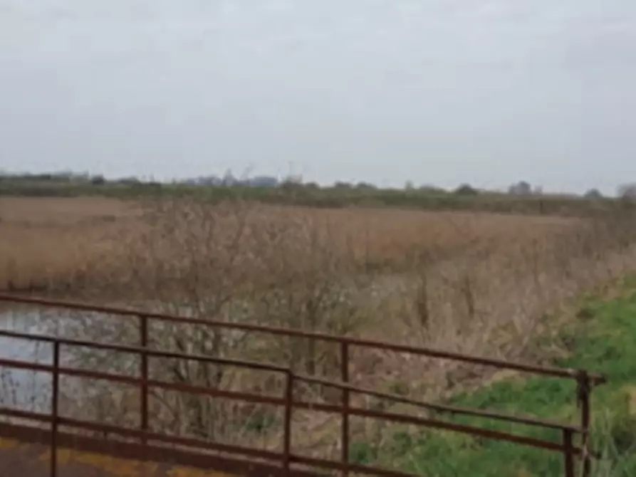 Immagine 2 di Terreno agricolo in vendita  in Via Altedo a San Pietro In Casale