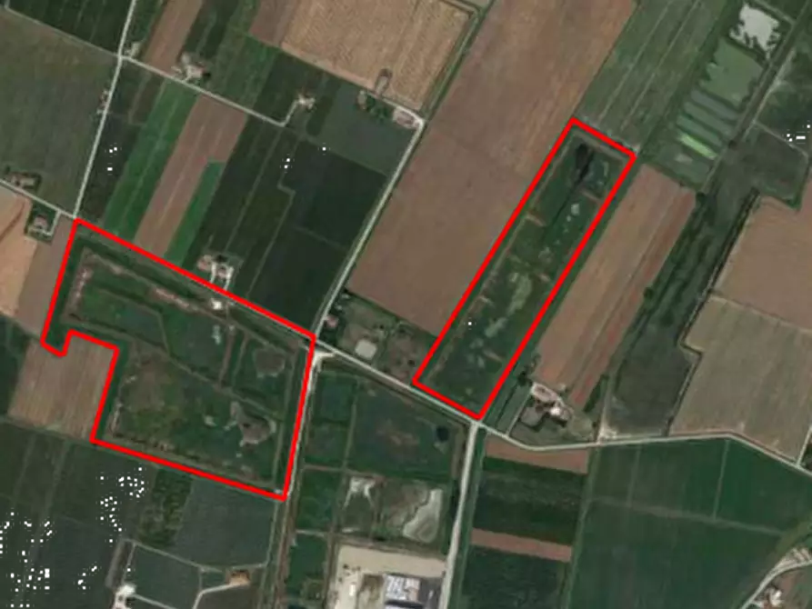 Immagine 4 di Terreno agricolo in vendita  in Via Altedo a San Pietro In Casale