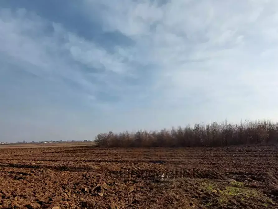 Immagine 2 di Terreno agricolo in vendita  in Località San Daniele del Friuli a San Daniele Del Friuli