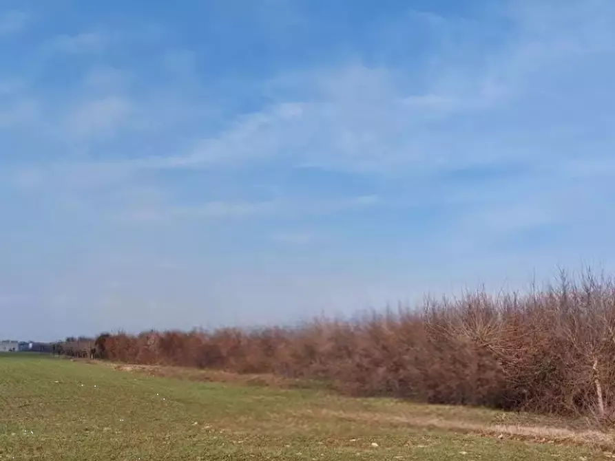 Immagine 1 di Terreno agricolo in vendita  in Località San Daniele del Friuli a San Daniele Del Friuli