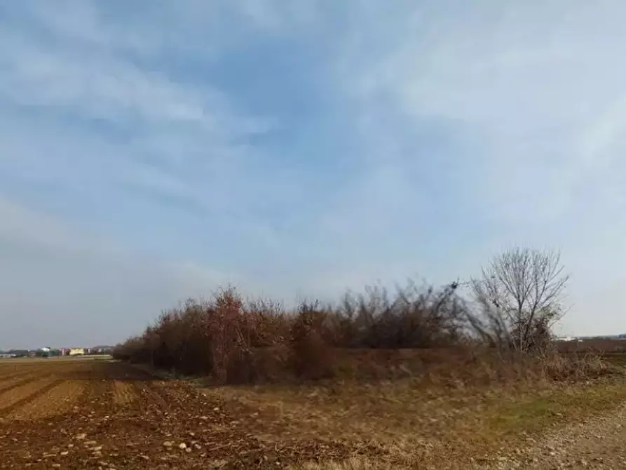 Immagine 3 di Terreno agricolo in vendita  in Località San Daniele del Friuli a San Daniele Del Friuli