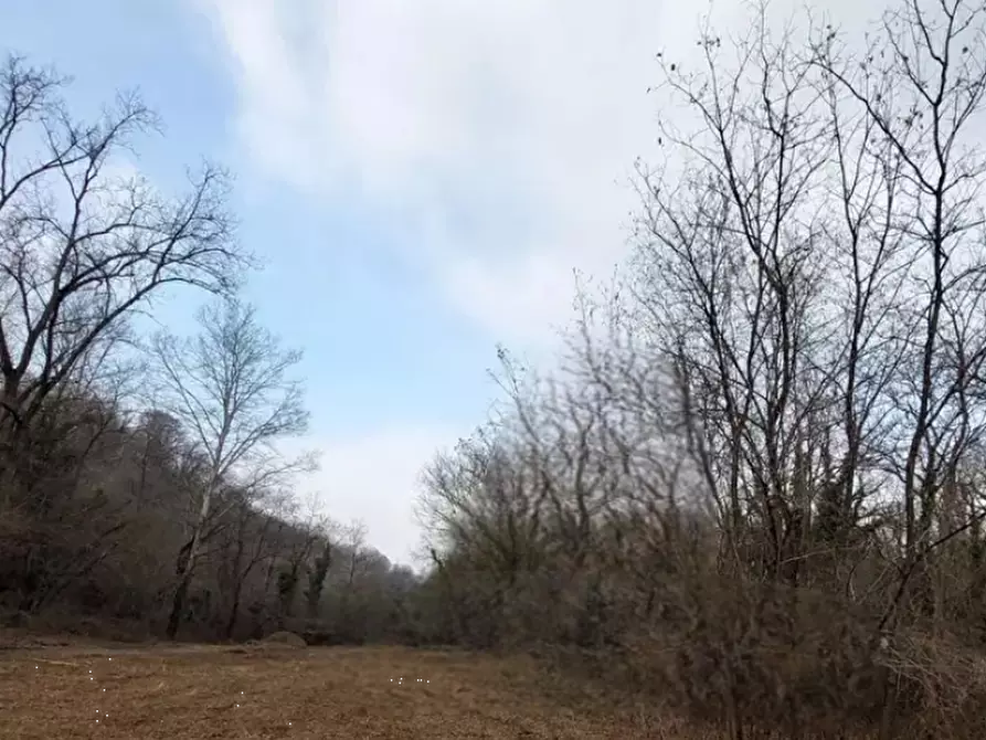 Immagine 4 di Terreno agricolo in vendita  in Località San Daniele del Friuli a San Daniele Del Friuli