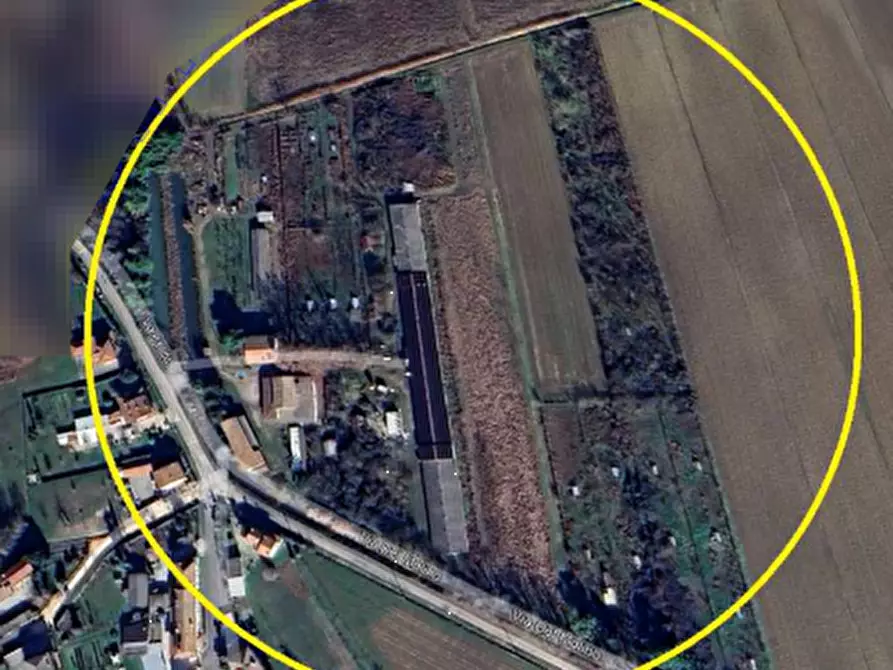 Immagine 9 di Azienda agricola in vendita  in Via Bando a Porpetto