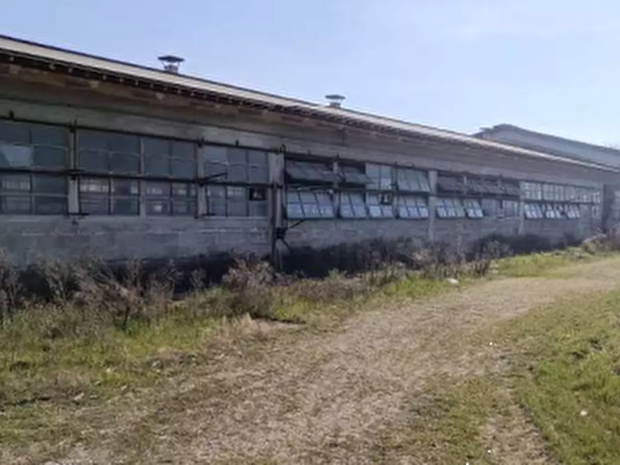 Immagine 10 di Azienda agricola in vendita  in Via Bando a Porpetto