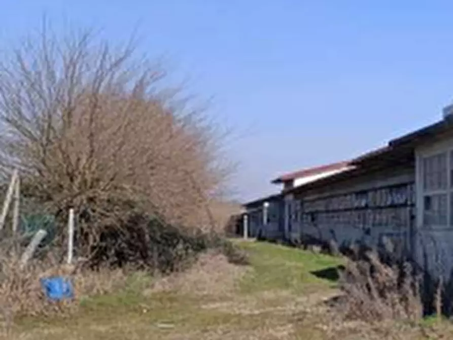 Immagine 12 di Azienda agricola in vendita  in Via Bando a Porpetto