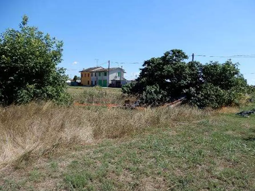 Immagine 3 di Terreno agricolo in vendita  in Via Randaccio a Roncoferraro