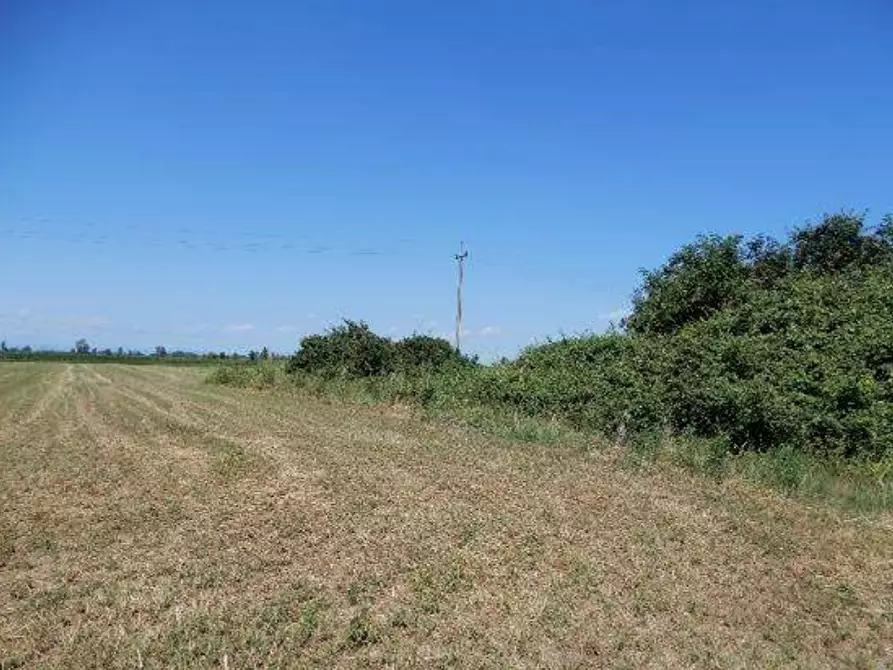 Immagine 4 di Terreno agricolo in vendita  in Via Randaccio a Roncoferraro
