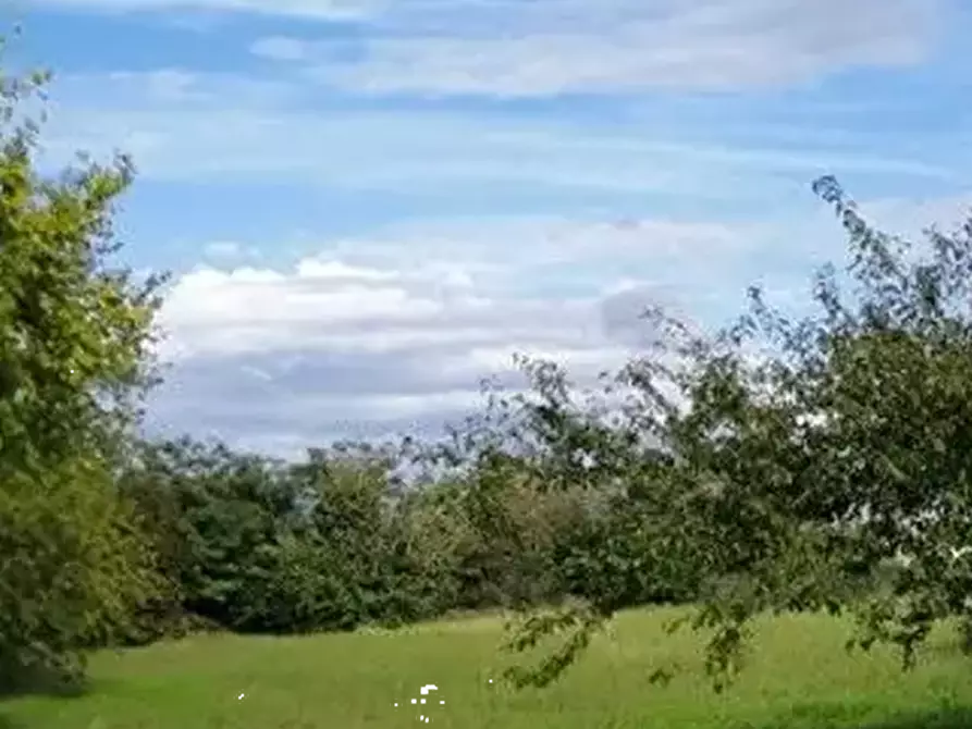 Immagine 9 di Casa indipendente in vendita  in Via de Roje  a Gonars