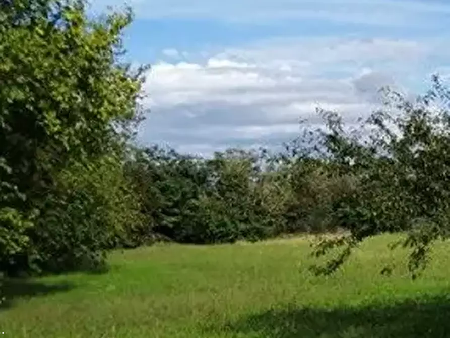 Immagine 10 di Casa indipendente in vendita  in Via de Roje  a Gonars