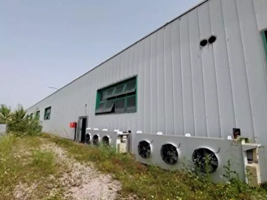 Immagine 2 di Capannone industriale in vendita  in Via Manzano  a Premariacco