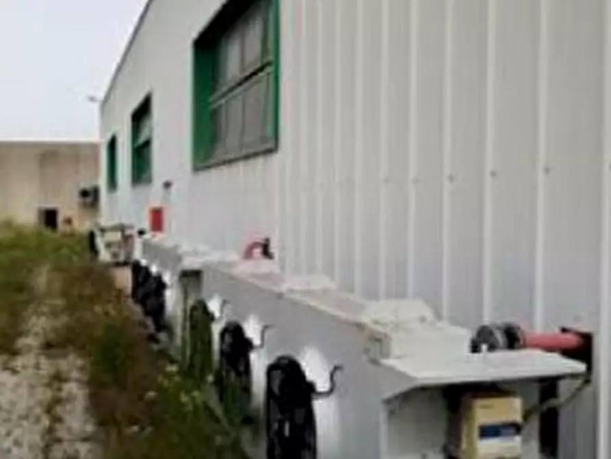 Immagine 4 di Capannone industriale in vendita  in Via Manzano  a Premariacco