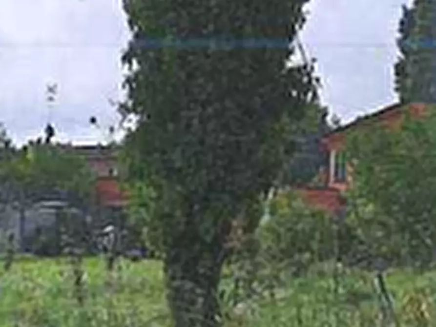 Immagine 10 di Porzione di casa in vendita  in Via Rubini   a Corbola