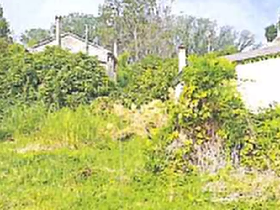 Immagine 11 di Porzione di casa in vendita  in Via Rubini   a Corbola