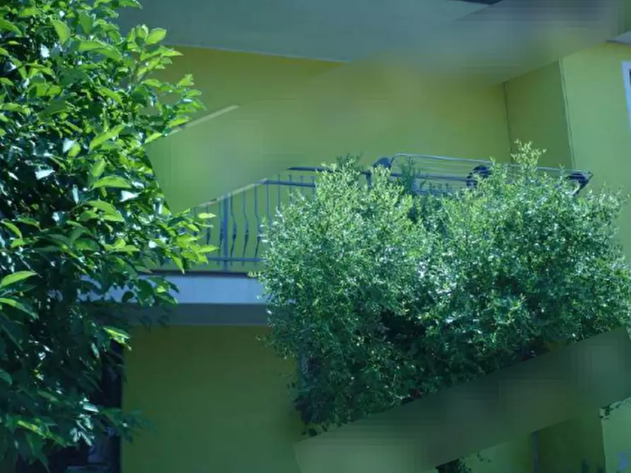 Immagine 4 di Appartamento in vendita  in Via del Lavoro a Taglio Di Po