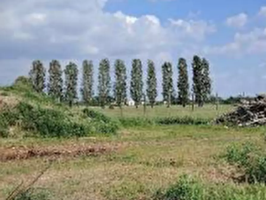 Immagine 11 di Casa indipendente in vendita  in Località Ca' Mignola Bassa a Lendinara