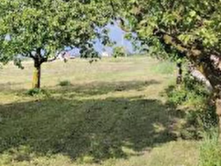 Immagine 12 di Casa indipendente in vendita  in Località Ca' Mignola Bassa a Lendinara