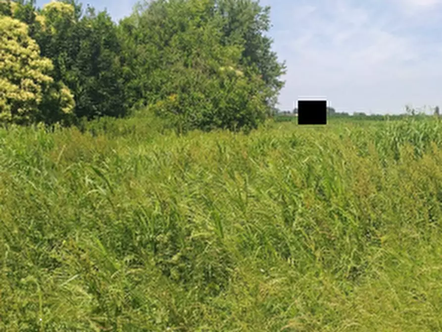 Immagine 3 di Magazzino in vendita  in Via Gorghi a Canda