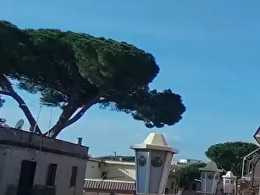 Immagine 6 di Appartamento in vendita  in Strada provinciale a Capena