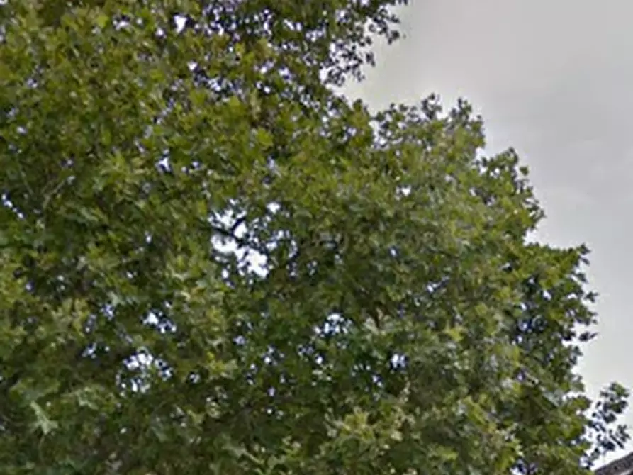 Immagine 3 di Appartamento in vendita  in Sestiere Dorsoduro a Venezia