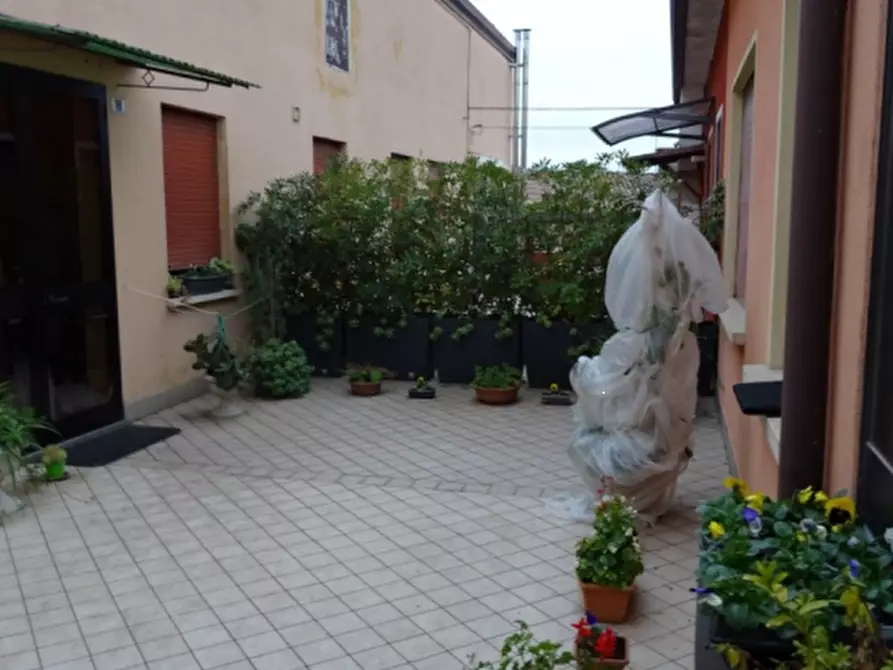 Immagine 3 di Appartamento in vendita  in Via Dante Alighieri a Vigonovo