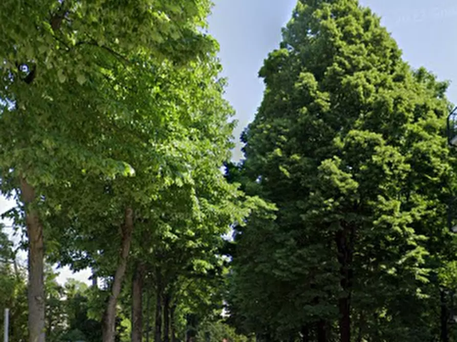 Immagine 10 di Appartamento in vendita  in Via Dante Alighieri a Mirano