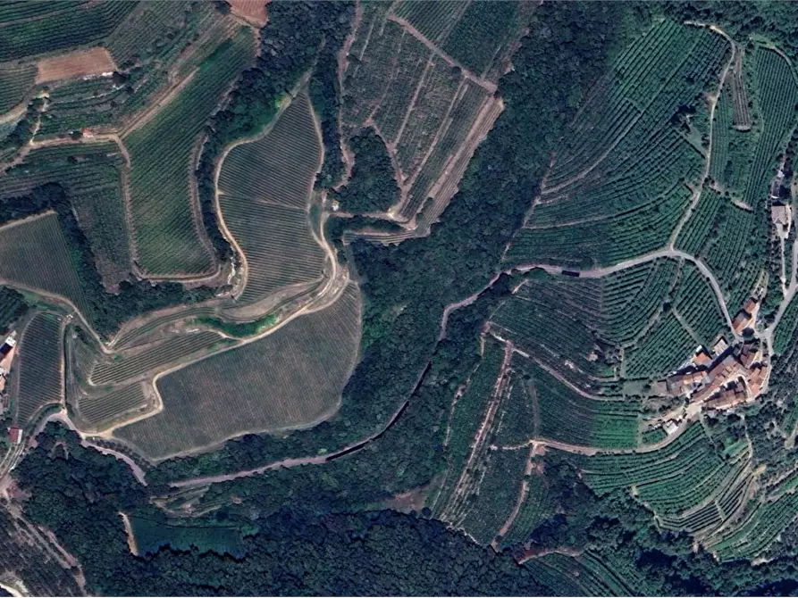 Immagine 22 di Porzione di casa in vendita  in Via Tolotti a Montecchia Di Crosara