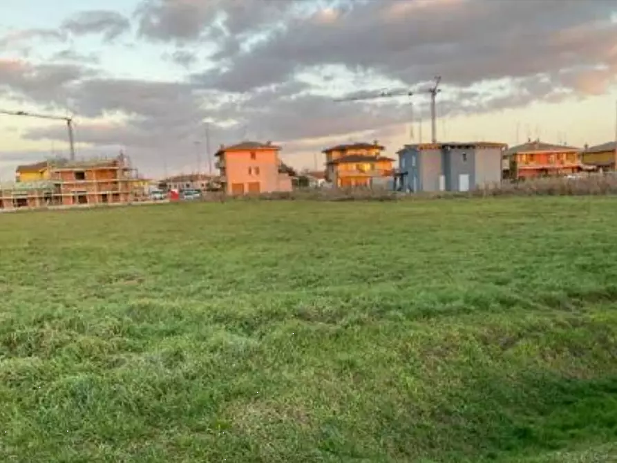 Immagine 2 di Terreno agricolo in vendita  in Fraz. Tabellano a Suzzara