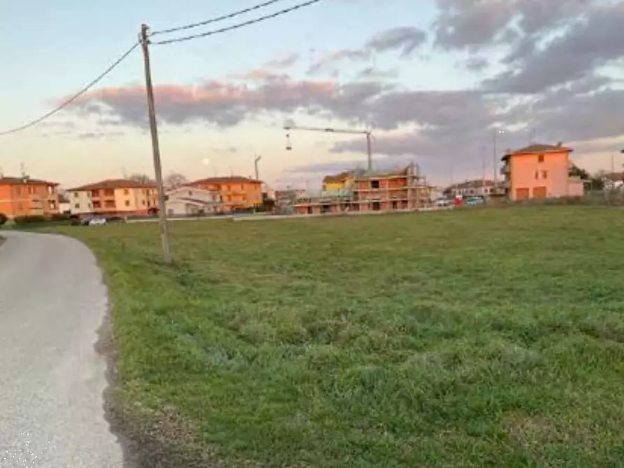 Immagine 3 di Terreno agricolo in vendita  in Fraz. Tabellano a Suzzara