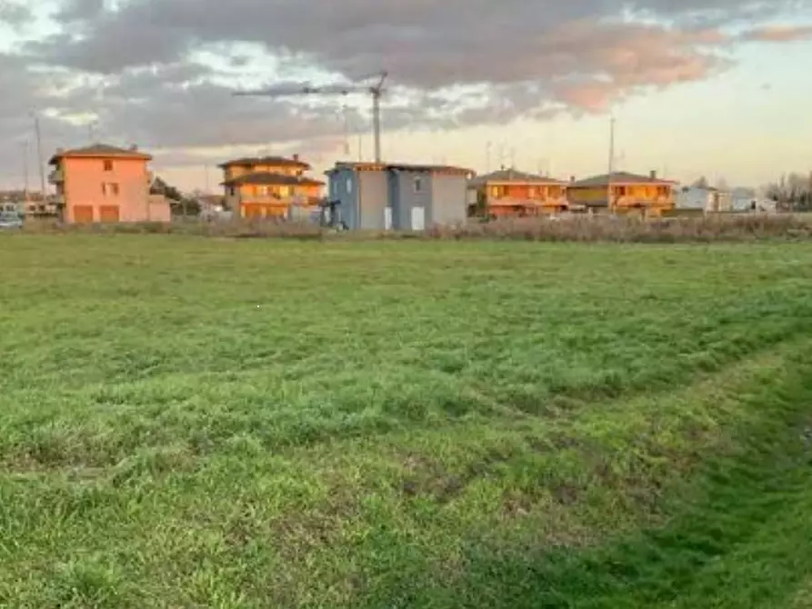 Immagine 4 di Terreno agricolo in vendita  in Fraz. Tabellano a Suzzara