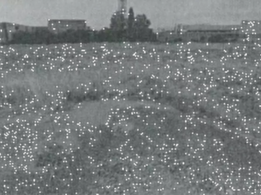 casa indipendente in vendita a Villa Bartolomea