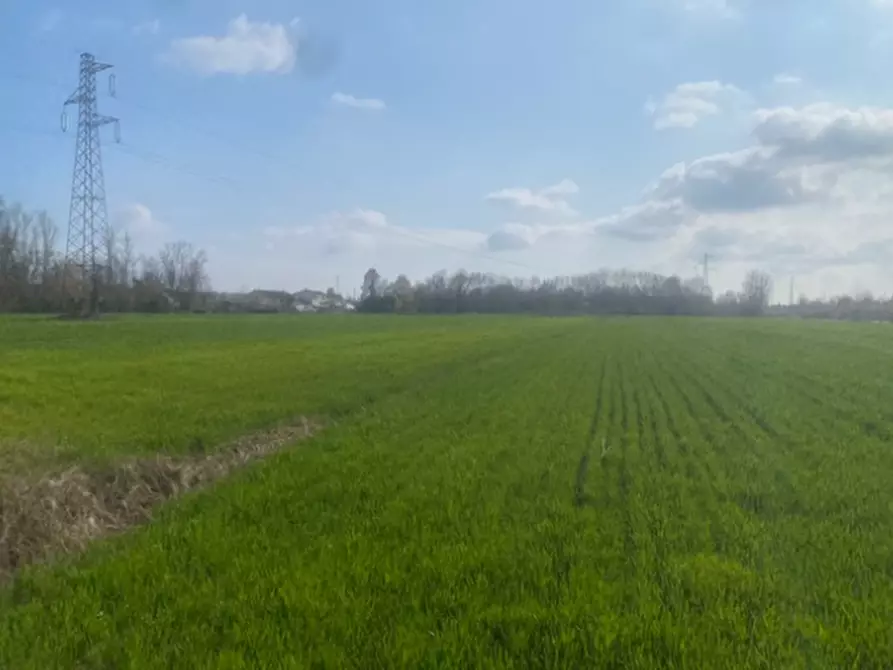 Immagine 2 di Terreno agricolo in vendita  in Via S. Michele Vecchio a Quarto D'altino