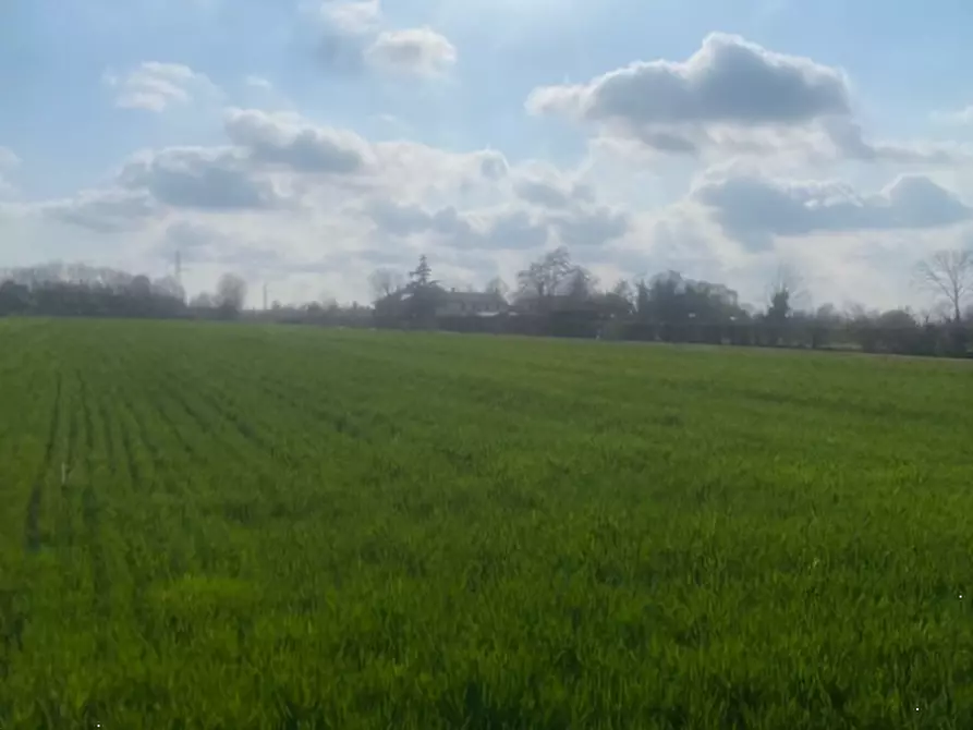 Immagine 3 di Terreno agricolo in vendita  in Via S. Michele Vecchio a Quarto D'altino