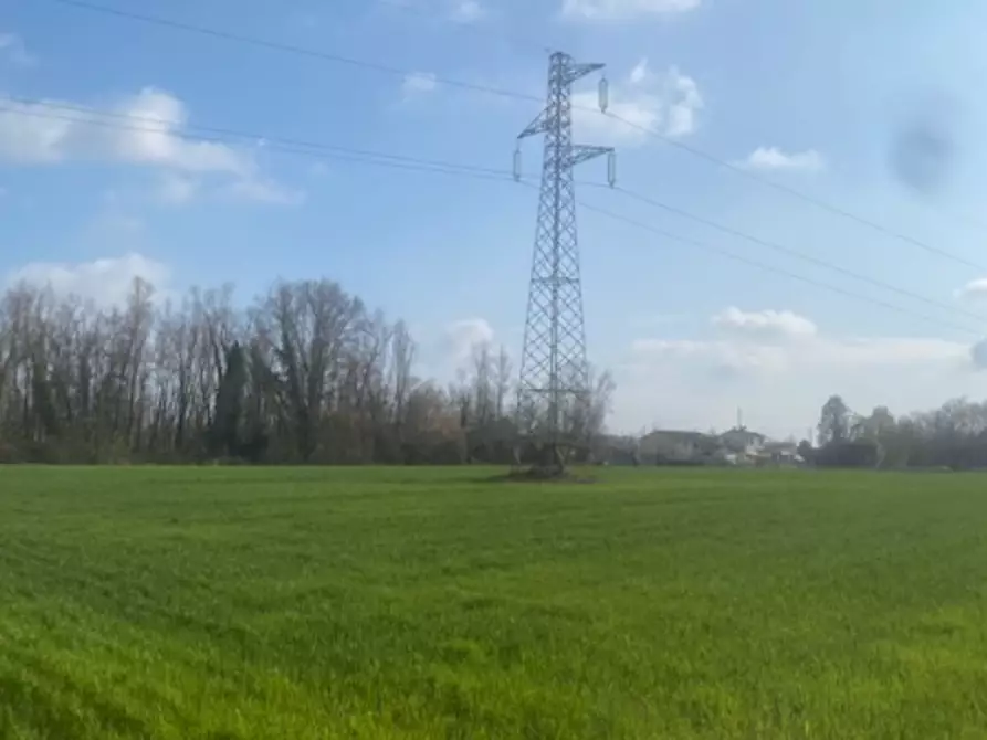 Immagine 4 di Terreno agricolo in vendita  in Via S. Michele Vecchio a Quarto D'altino