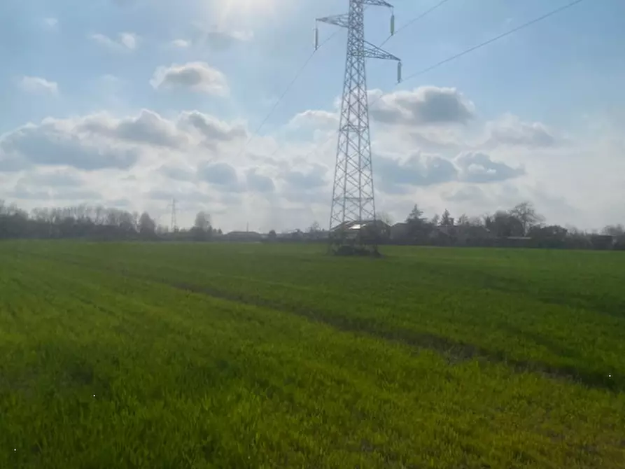 Immagine 5 di Terreno agricolo in vendita  in Via S. Michele Vecchio a Quarto D'altino