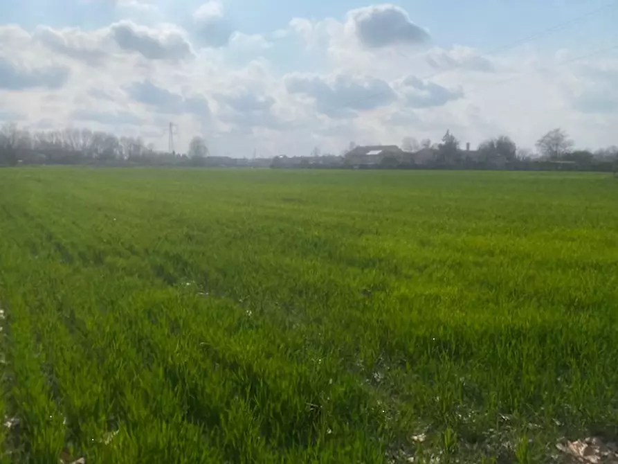 Immagine 6 di Terreno agricolo in vendita  in Via S. Michele Vecchio a Quarto D'altino