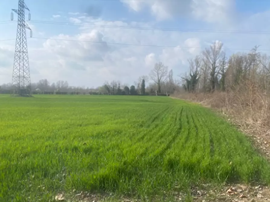 Immagine 7 di Terreno agricolo in vendita  in Via S. Michele Vecchio a Quarto D'altino