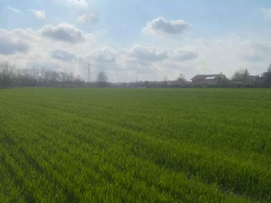 Immagine 9 di Terreno agricolo in vendita  in Via S. Michele Vecchio a Quarto D'altino