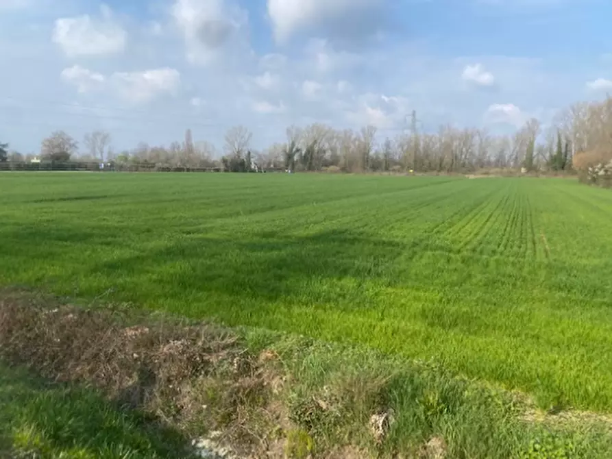 Immagine 10 di Terreno agricolo in vendita  in Via S. Michele Vecchio a Quarto D'altino
