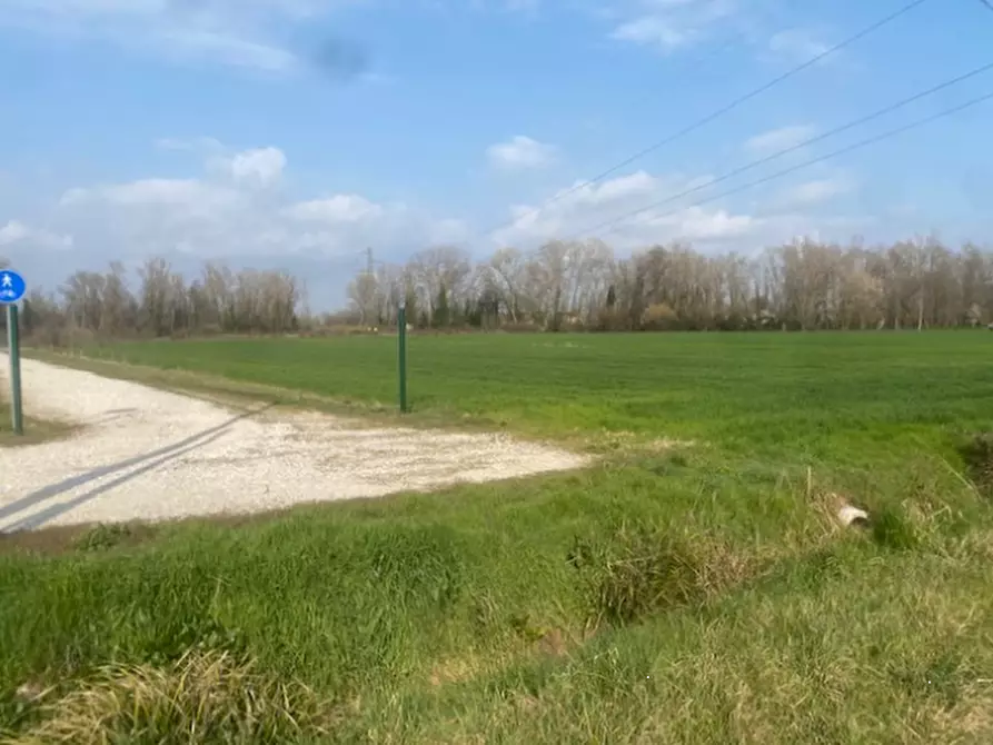Immagine 11 di Terreno agricolo in vendita  in Via S. Michele Vecchio a Quarto D'altino