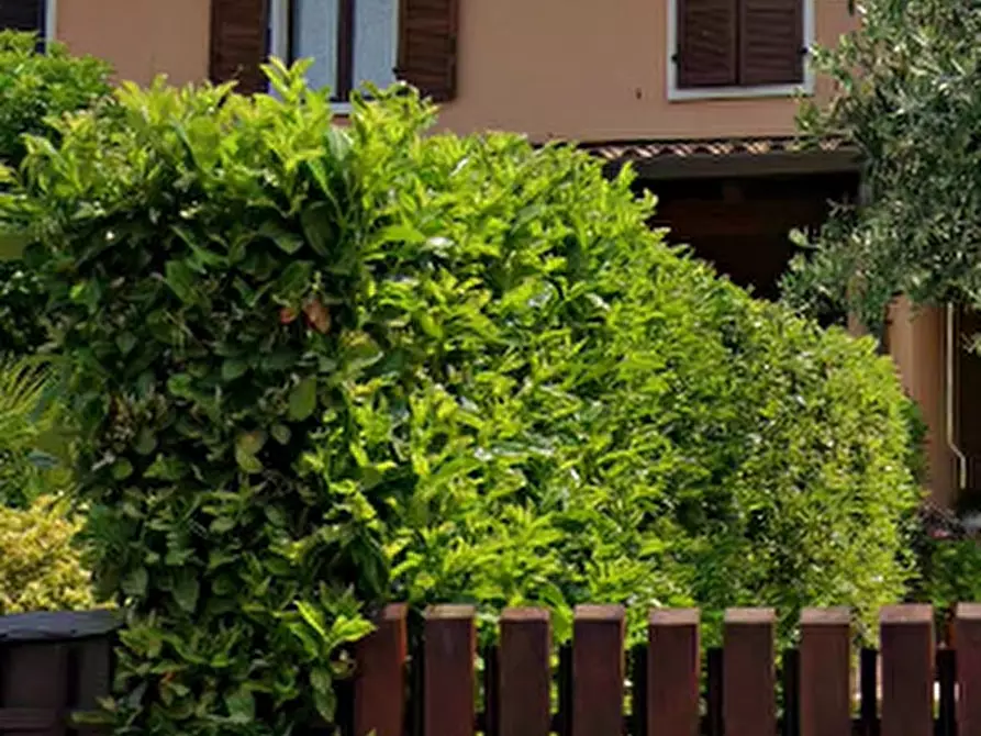 Immagine 6 di Villetta a schiera in vendita  in Via Risorgimento a Lazise