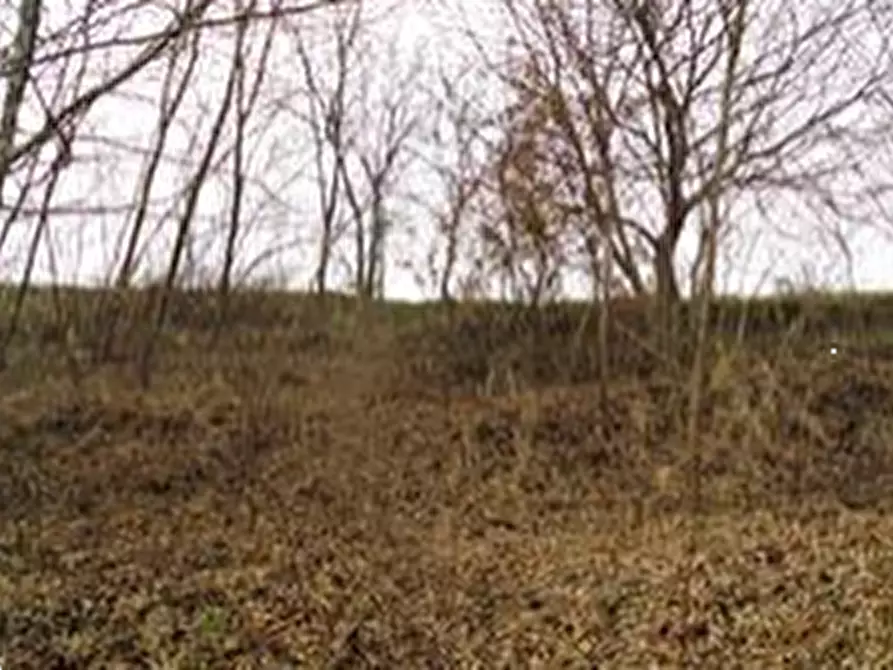 Immagine 4 di Terreno agricolo in vendita  in Via De Amicis a Castello Di Brianza