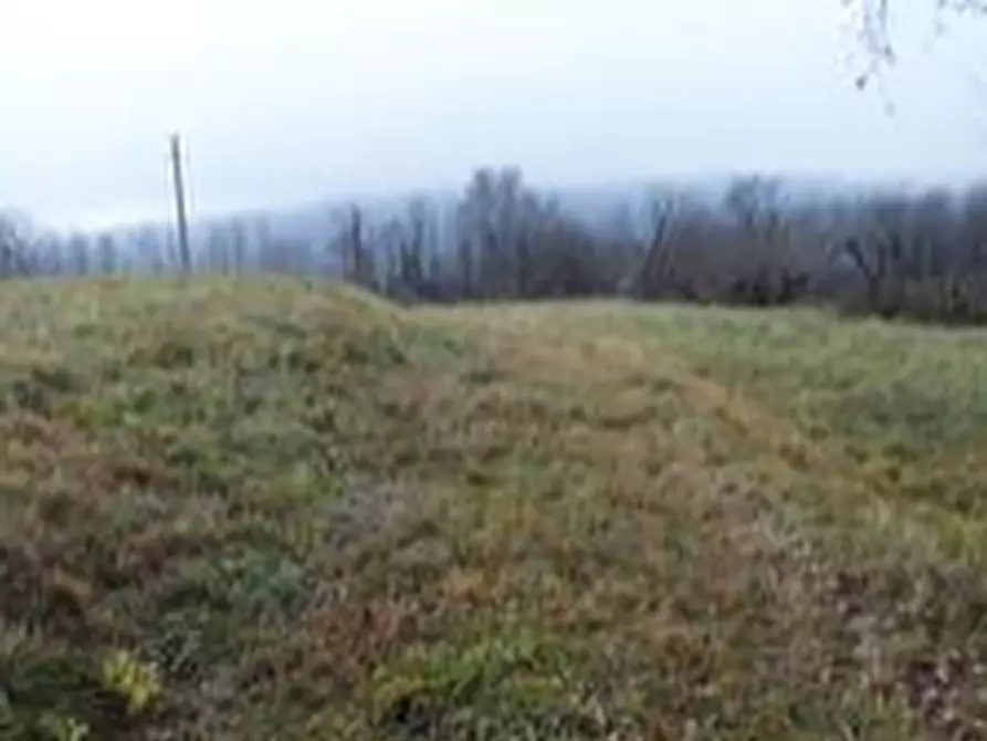 Immagine 5 di Terreno agricolo in vendita  in Via De Amicis a Castello Di Brianza