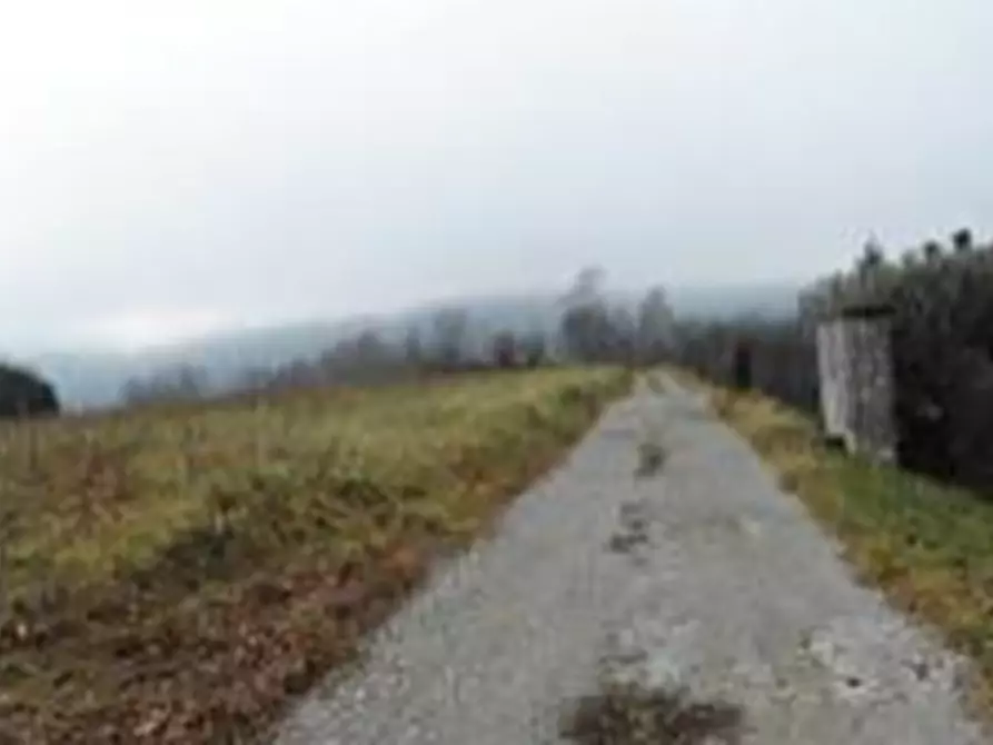 Immagine 6 di Terreno agricolo in vendita  in Via De Amicis a Castello Di Brianza