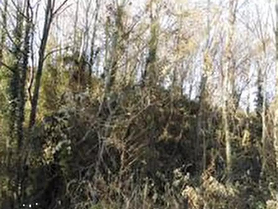 Immagine 7 di Terreno agricolo in vendita  in Via De Amicis a Castello Di Brianza