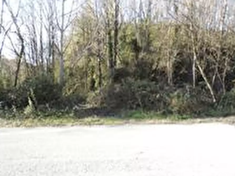 Immagine 8 di Terreno agricolo in vendita  in Via De Amicis a Castello Di Brianza