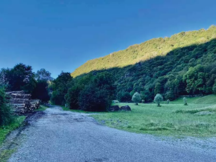 Immagine 3 di Terreno agricolo in vendita  in via Antonio Gramsci a Ballabio